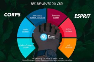 découvrez comment le cbd peut aider les cyclistes à réduire la fatigue et soulager la douleur après l’effort. conseils et explications sur l’utilisation du cannabidiol dans le sport.