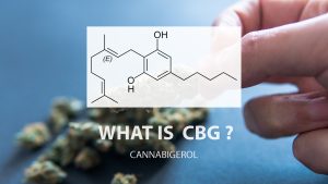 découvrez comment le cbd peut favoriser la cicatrisation grâce à ses propriétés anti-inflammatoires et réparatrices. informez-vous sur ses bienfaits pour la peau et la guérison des blessures.