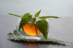 découvrez comment le cbd peut accompagner vos préparations physiques, optimiser la récupération musculaire et améliorer vos performances sportives grâce à ses effets naturels.