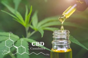 découvrez comment le cbd peut accompagner les sportifs : bienfaits, usages, récupération musculaire et conseils pour intégrer le cbd dans votre routine sportive.