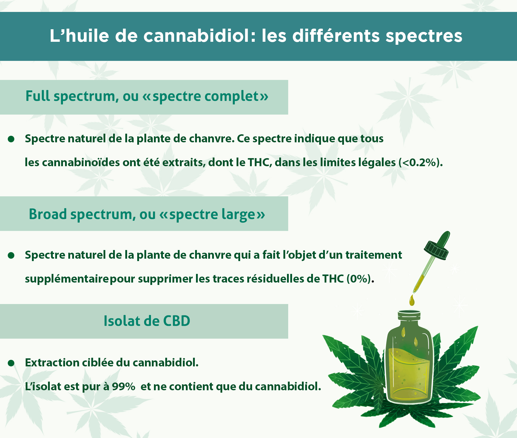découvrez les différences entre le cbd isolat et le cbd full spectrum pour les sportifs : avantages, effets et conseils pour choisir la meilleure option selon vos besoins et objectifs de performance.